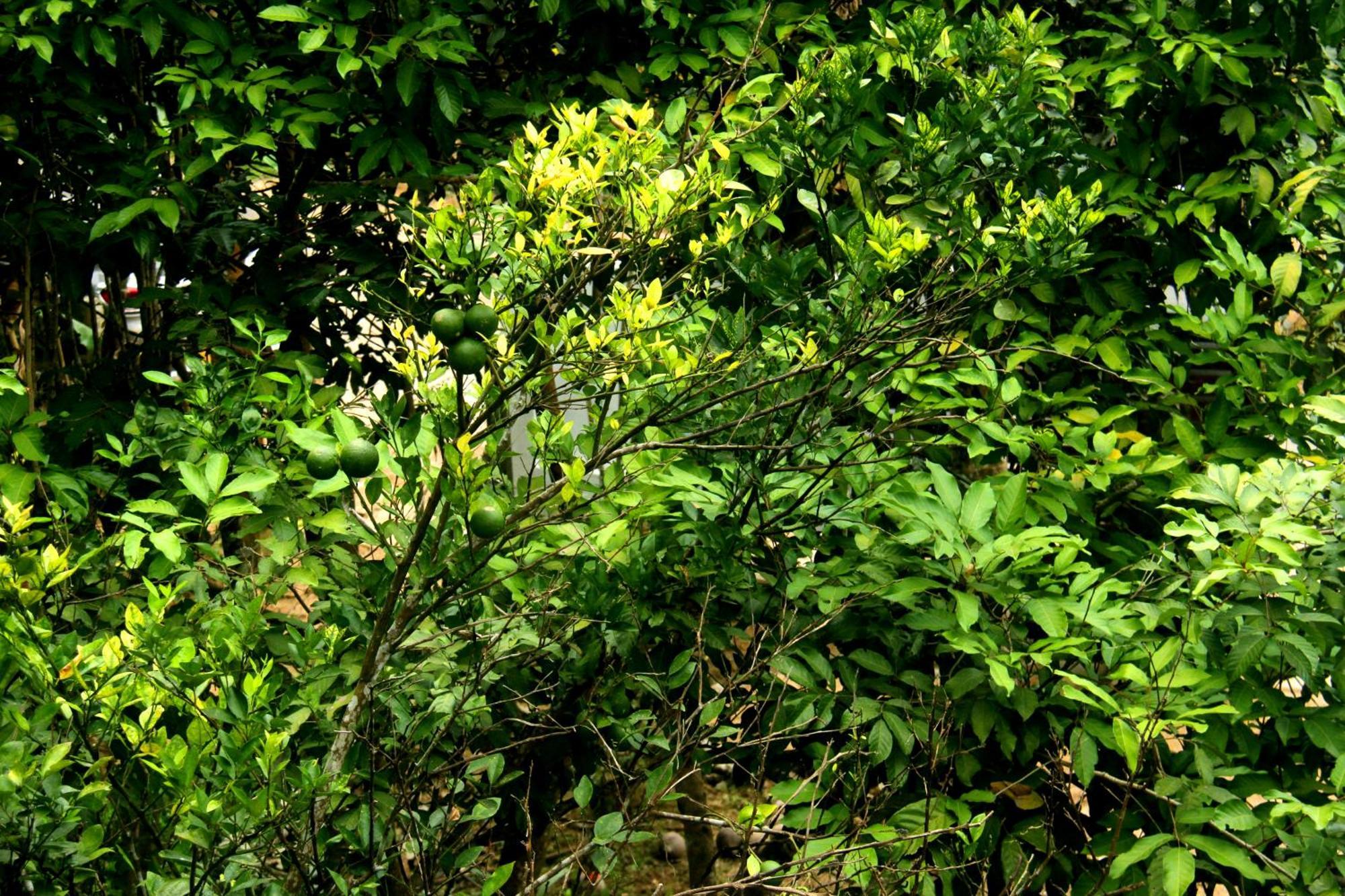 The Breeze Pinnawala 宾那伟拉 外观 照片